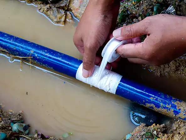  Why Choose Stamford Plumbing Pros for Leak Detection in Stamford, CT?]